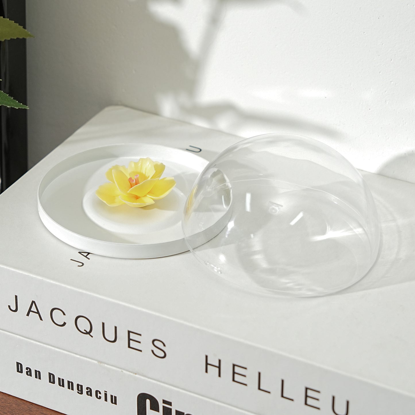 Handmade Ceramic Yellow Plum Blossom Diffuser